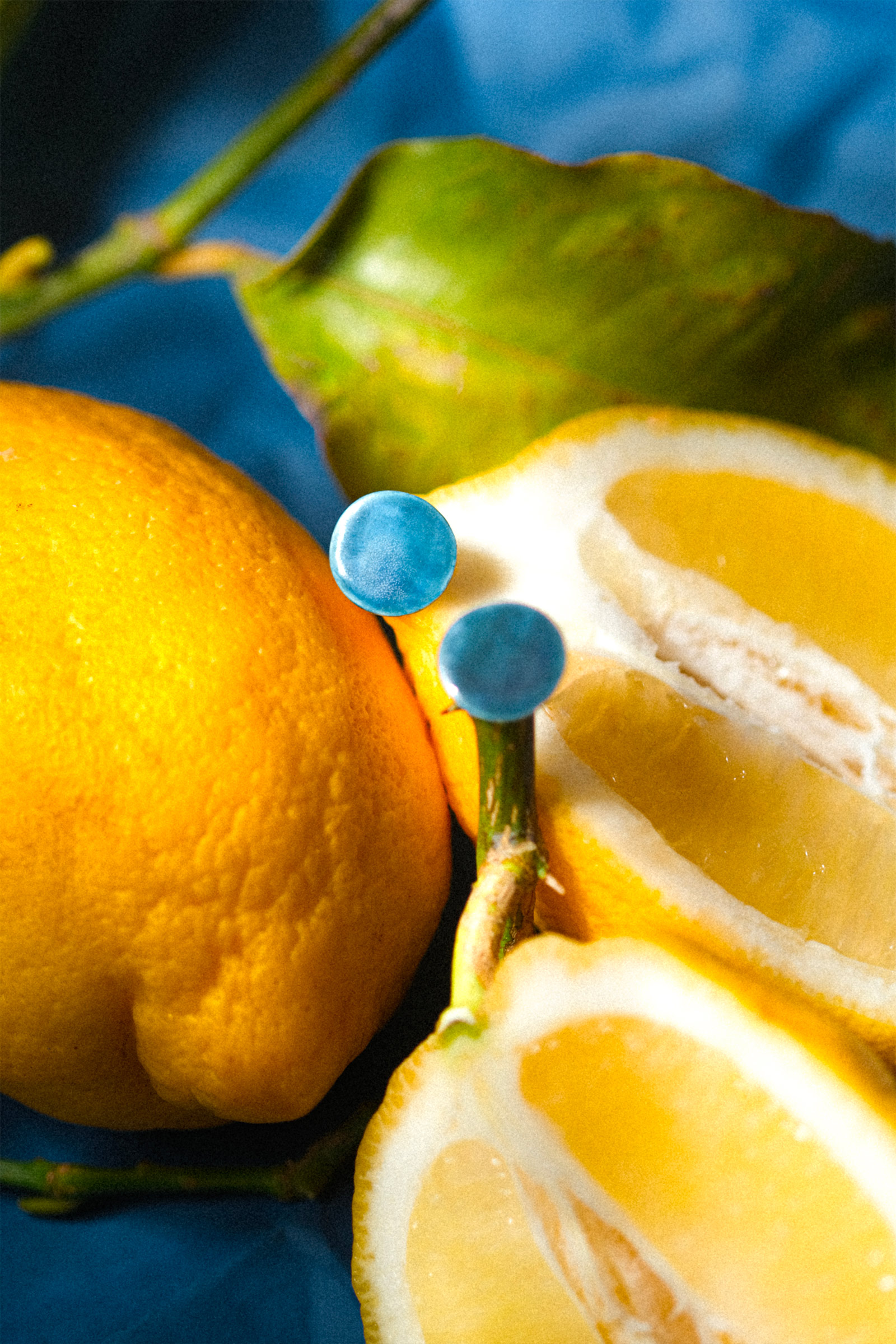 boucle-oreille-puce-miniature-chantal-klein