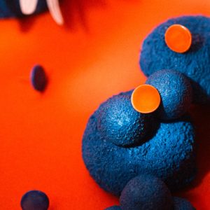 Puces rondes *Orange*